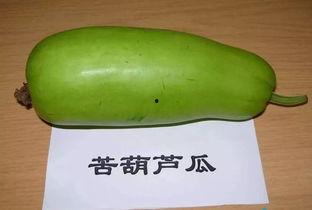 网红吃蒸葫芦瓜,美味与创意的完美融合