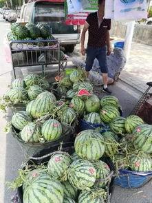 文县网红吃瓜事件